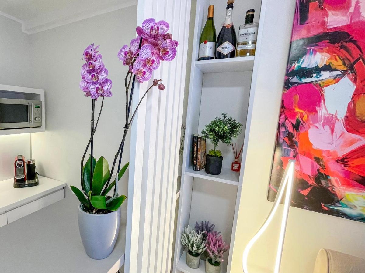 Apartament Skadarlija Colorway Belgrad Zewnętrze zdjęcie